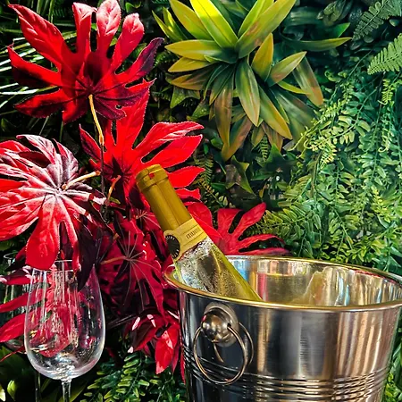 Appartement Rouge & Centro *